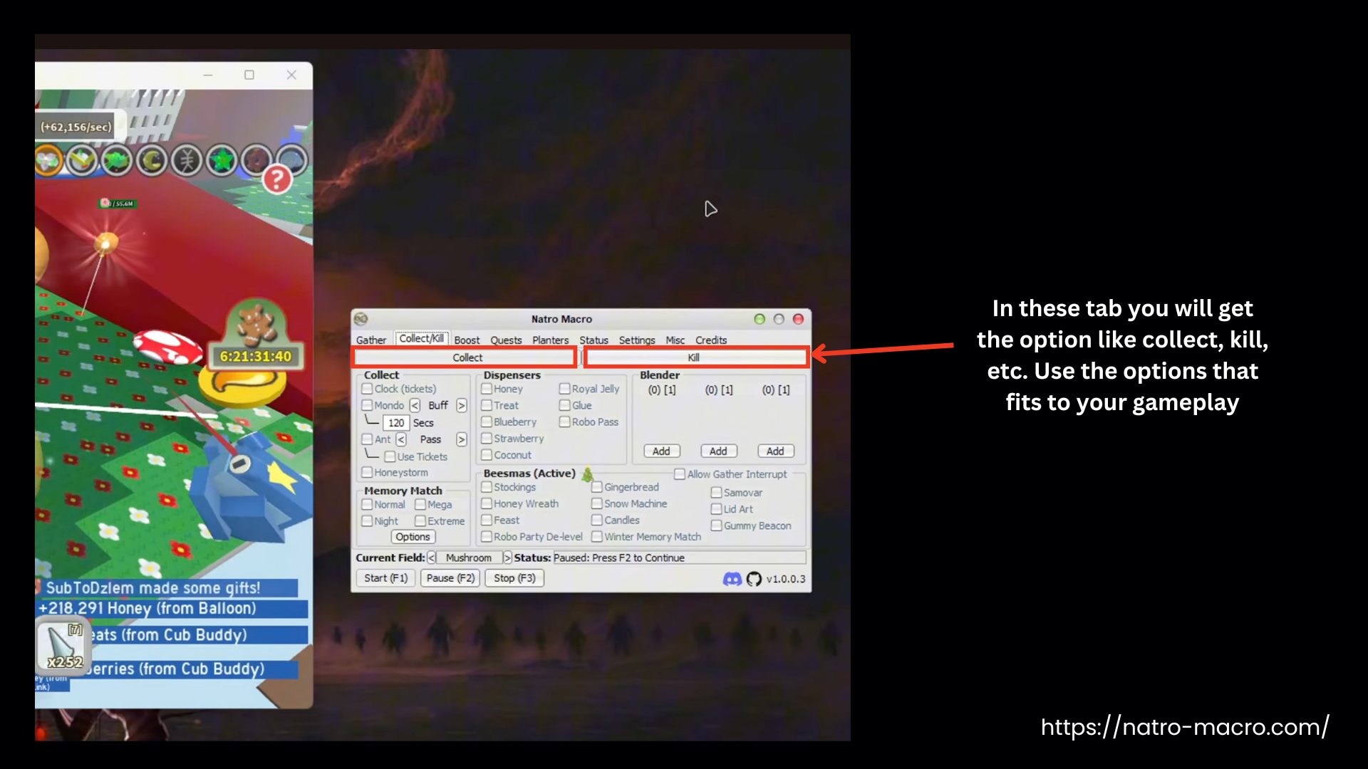 Natro Macro Collect and Kill Settings