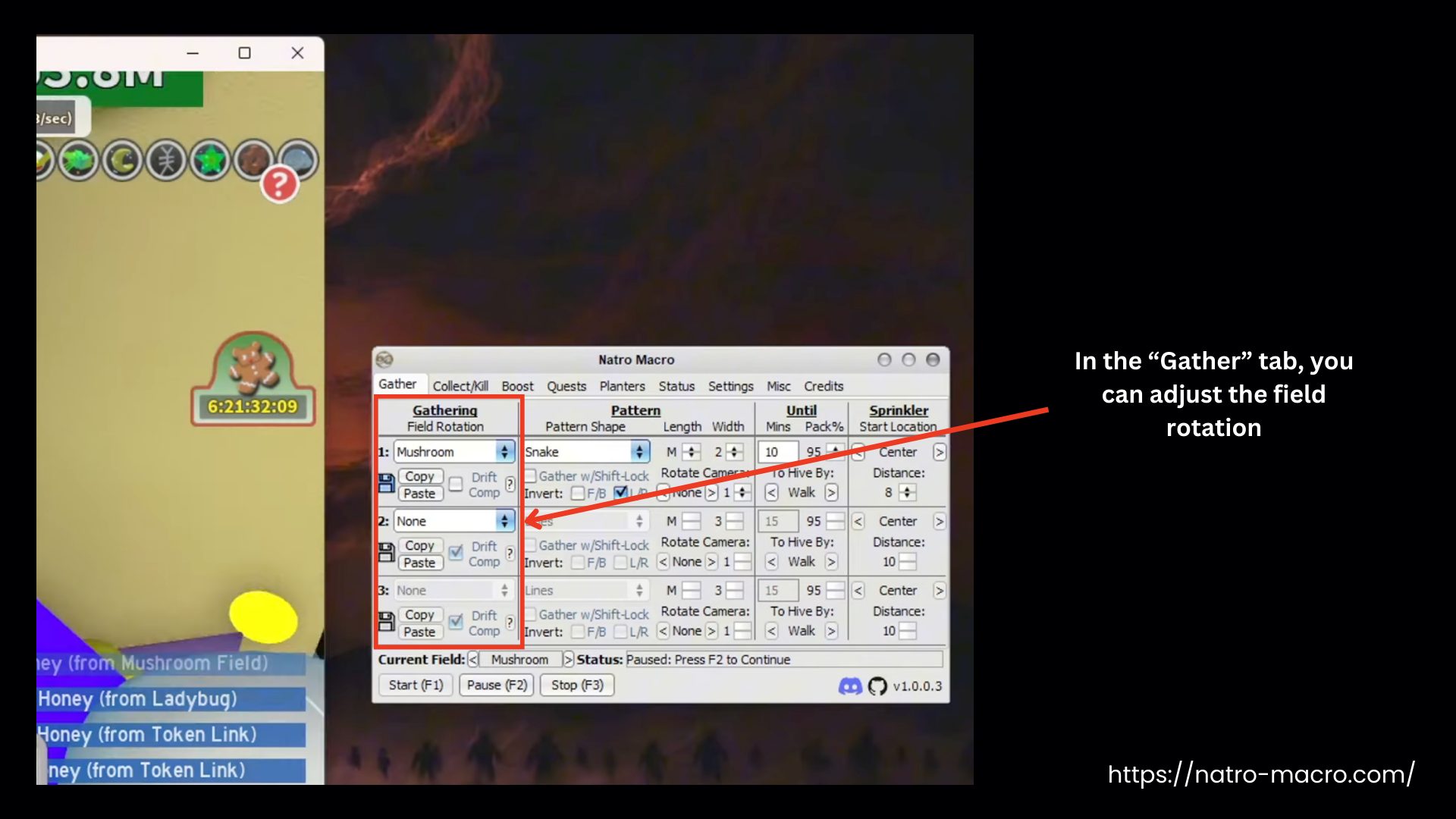 Natro Macro Gathering Settings
