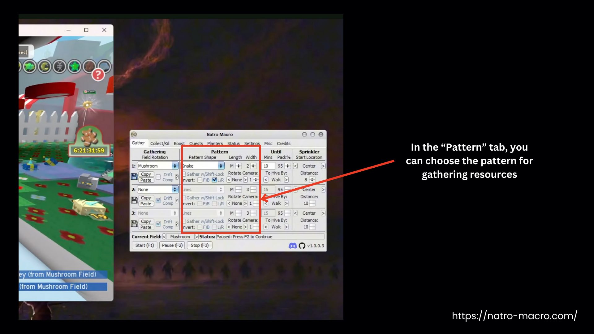 Natro Macro Pattern Settings