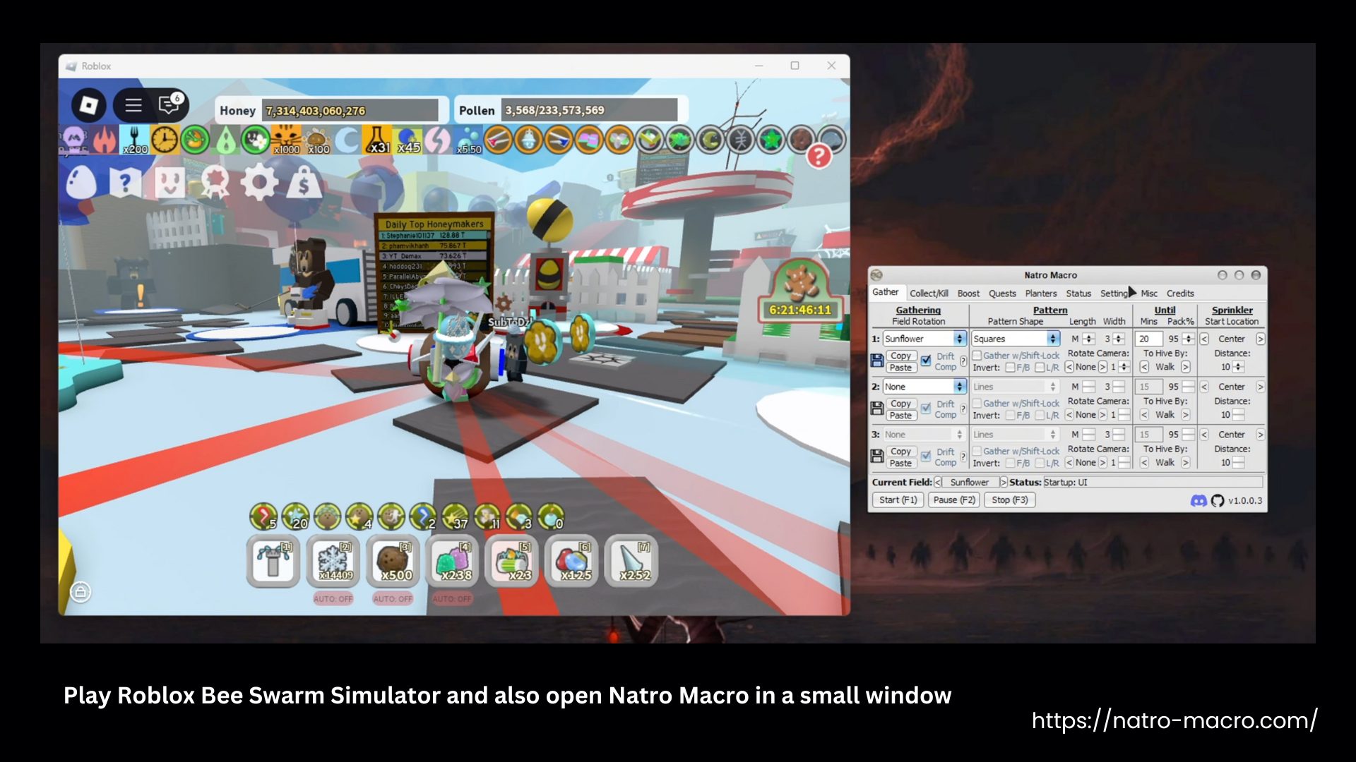 Play Roblox and Open Natro Macro